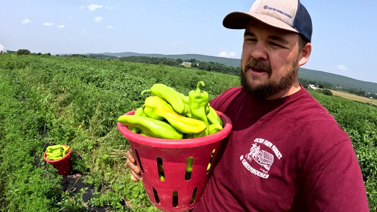 Our farm is making big moves