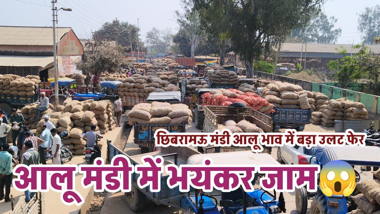 छिबरामऊ मंडी में भयंकर जाम आलू भाव में आई गिरावट 😭😭😭😭😭