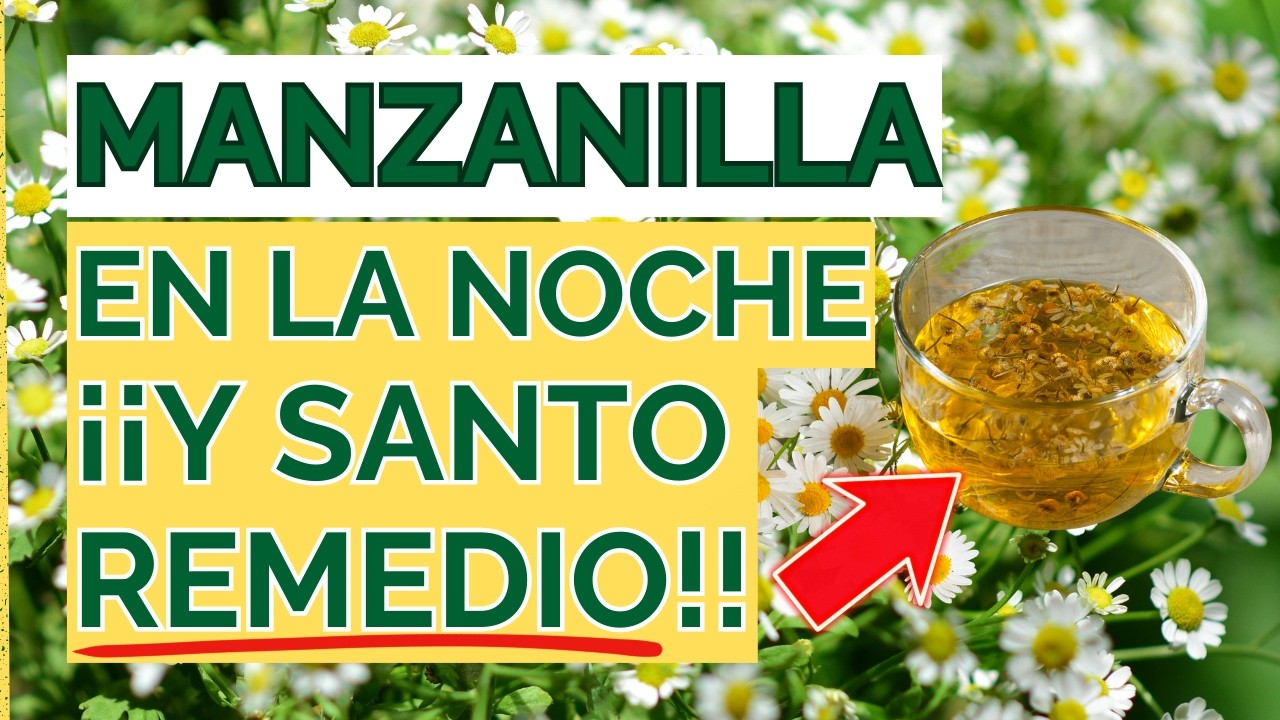 Esto Pasa En Tu Cuerpo al Tomar Manzanilla En la Noche