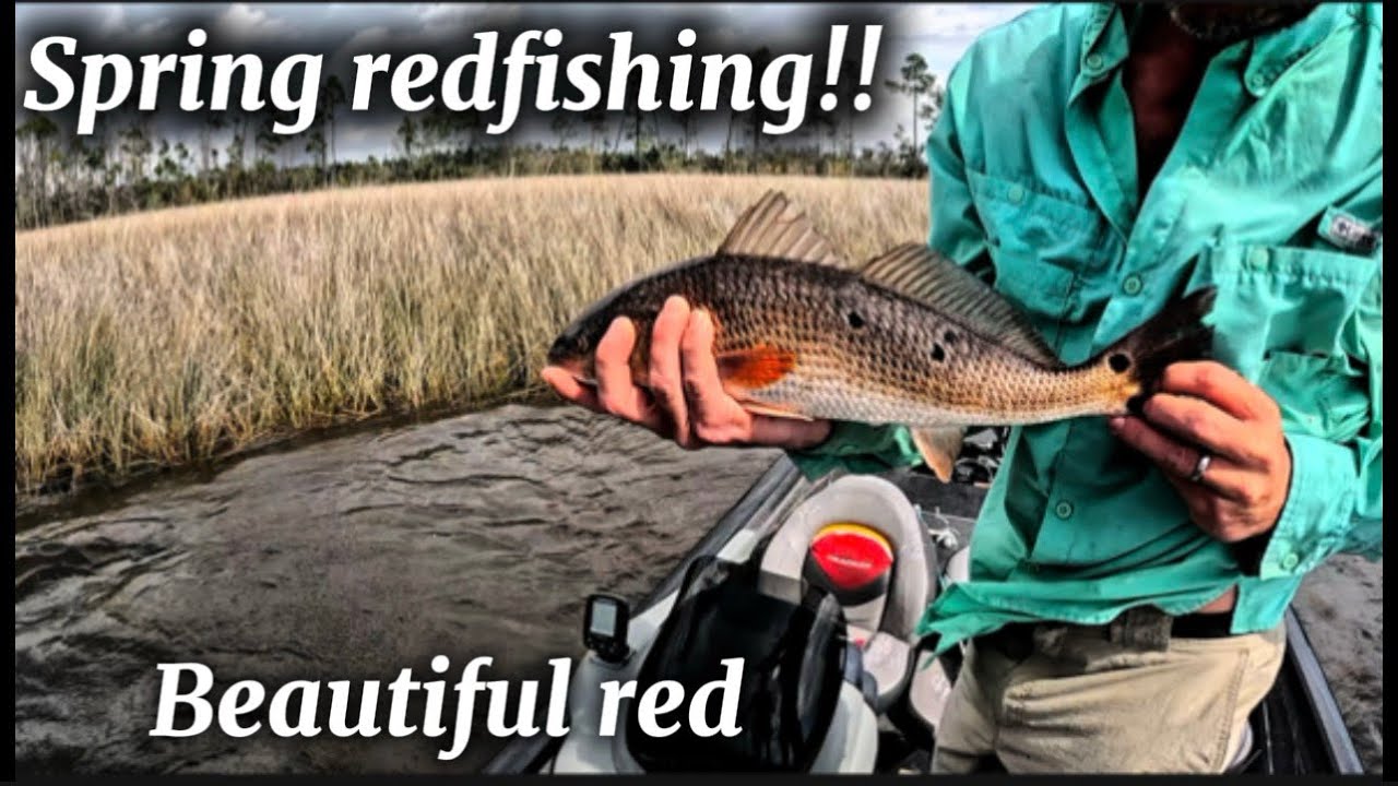 Catching BIG spring Redfish and Trout
