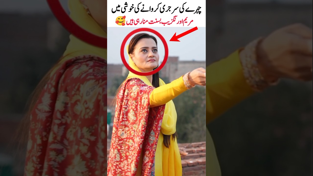 Maryam Aurangzeb is celebrating the Basant festival #maryamaurangzeb #basant #viral #shorts