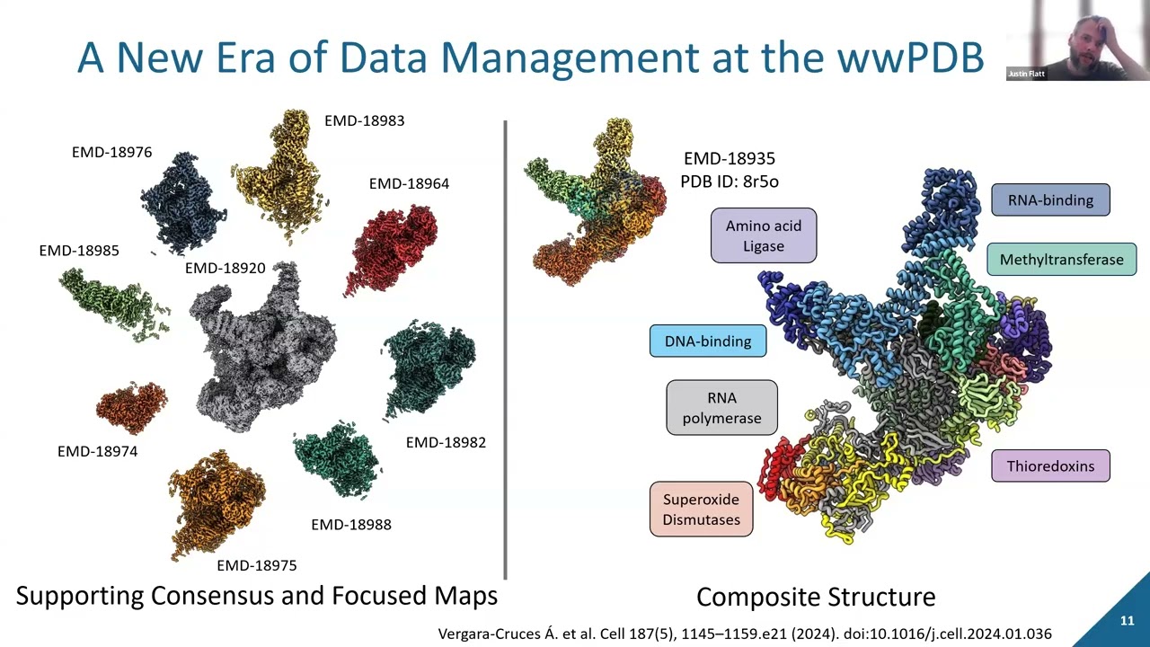 Justin Flatt - Advancing Data Management and Validation of Cryo-EM Structures at the wwPDB