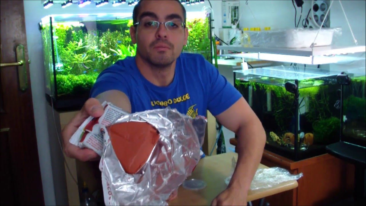 La arcilla roja en el acuario plantado