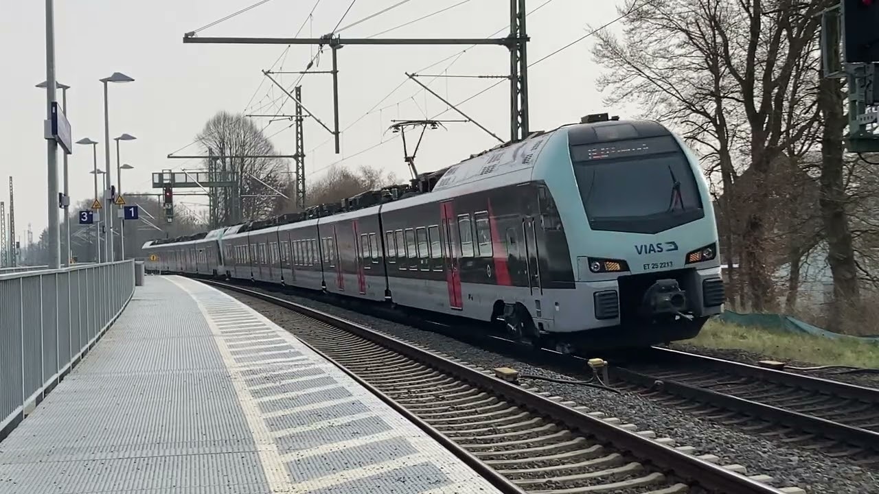 Züge in Friedrichsfeld(voerde)🇩🇪