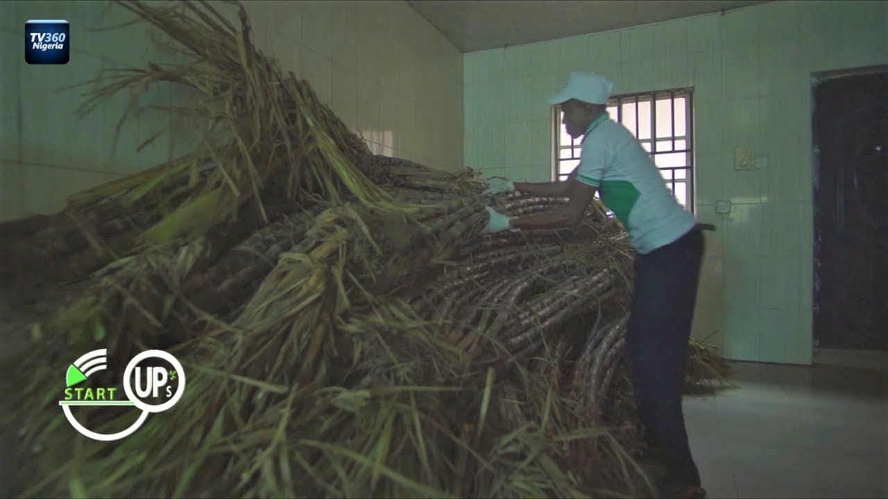 Startups EP 14: Beans Flour and Sugar Cane Juice: Untapped Agribusinesses in Nigeria