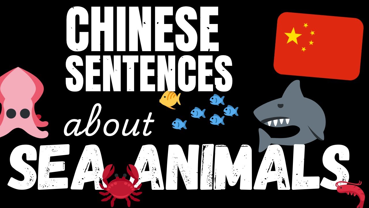 200 B1 Chinese sentences - Marine Animals | Learn Intermediate Chinese vocabulary