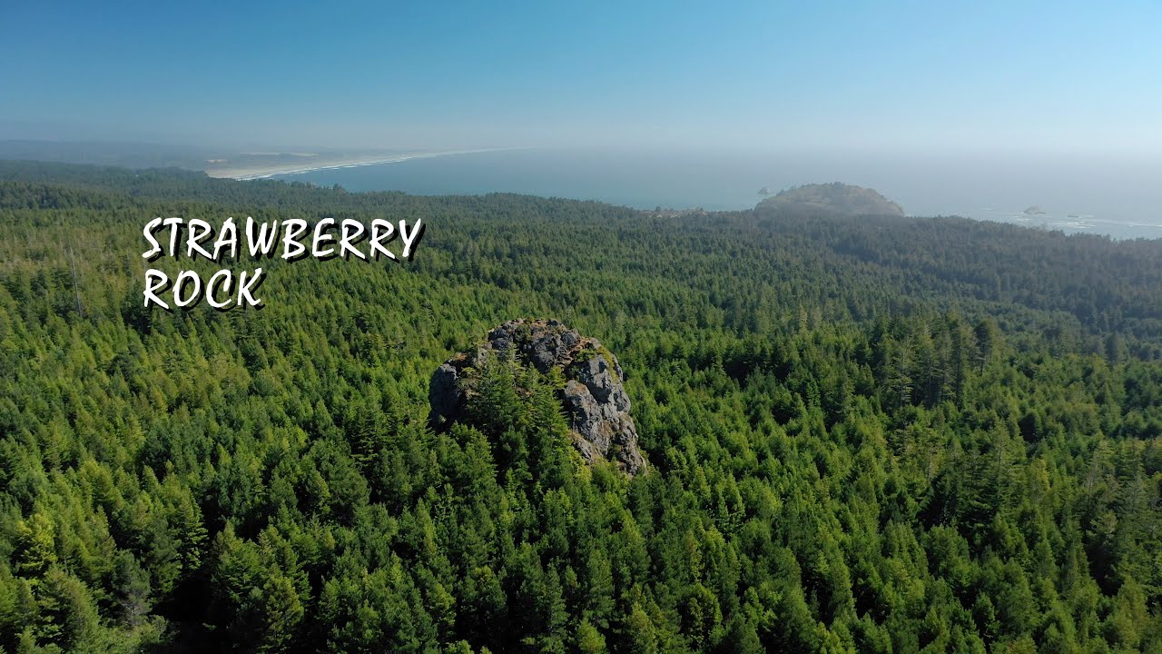 Strawberry Rock - Trinidad, CA