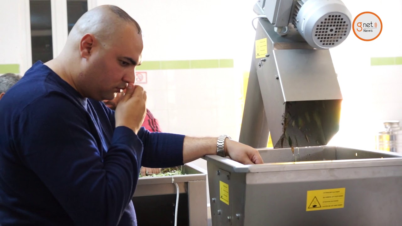 Domaine de la famille Ben Ismail : Reportage au temple de l’huile d’olive biologique