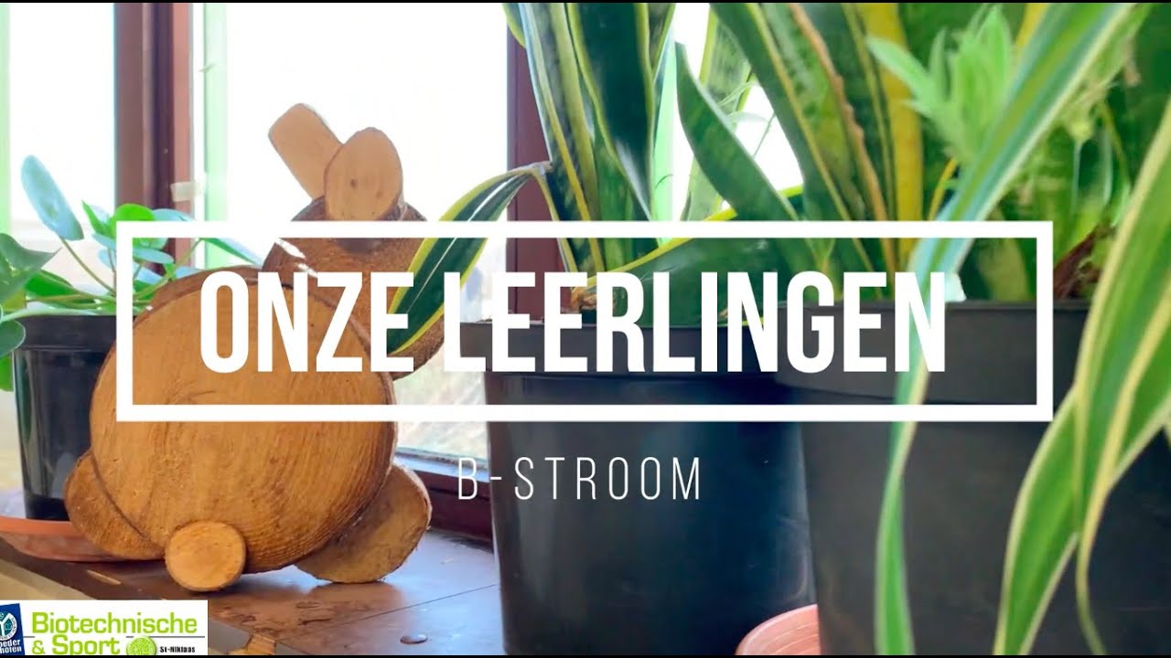 Onze leerlingen B-Stroom