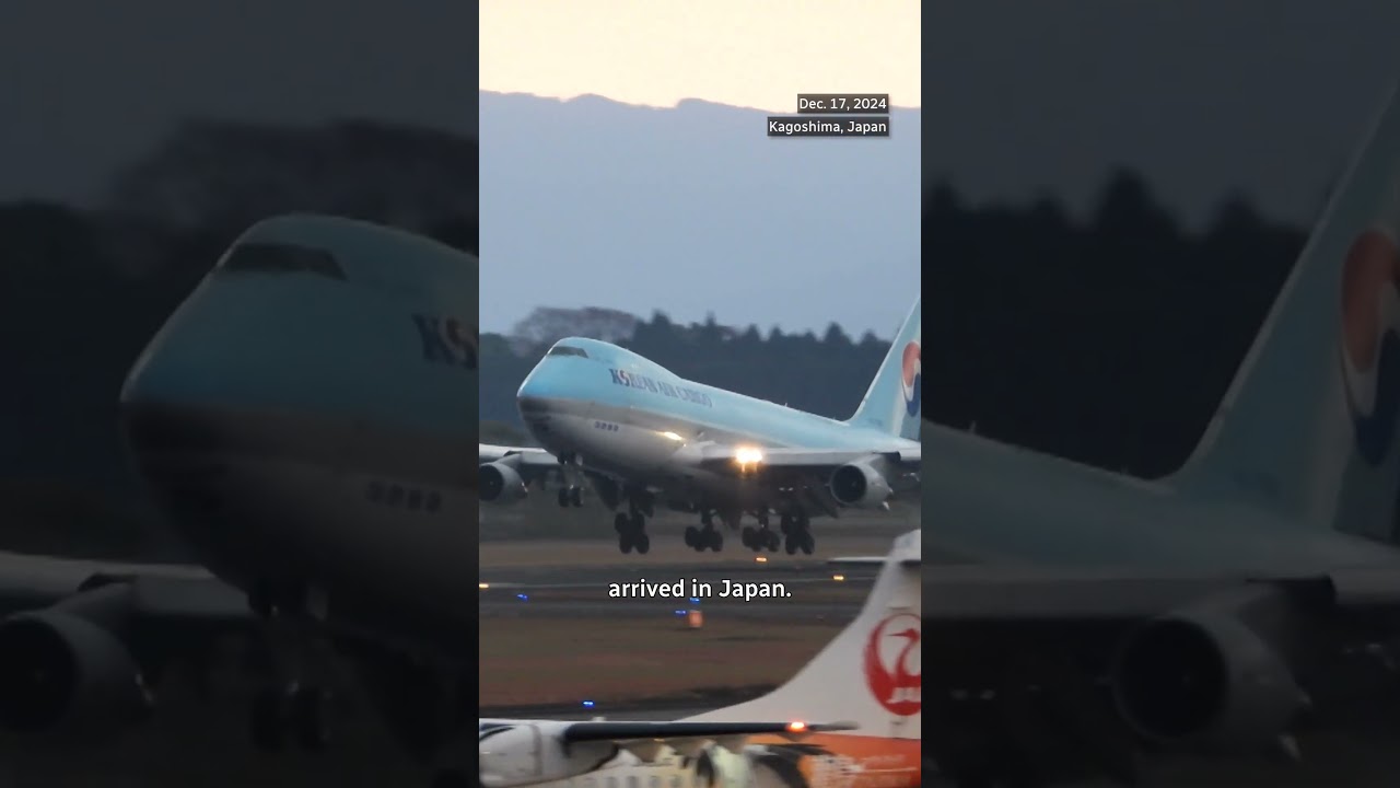 Horses dying after flights from Canada to Japan