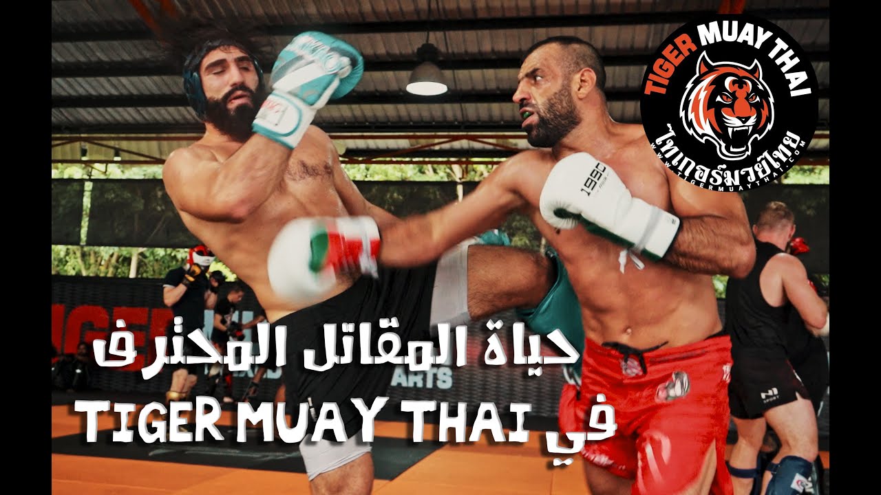 MMA in Thailand 1 | حياة المقاتل في تايلاند 1