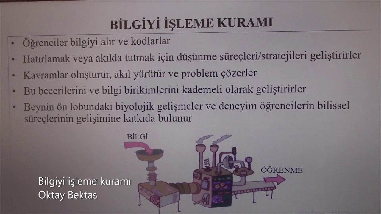 Bilgiyi işleme kuramı