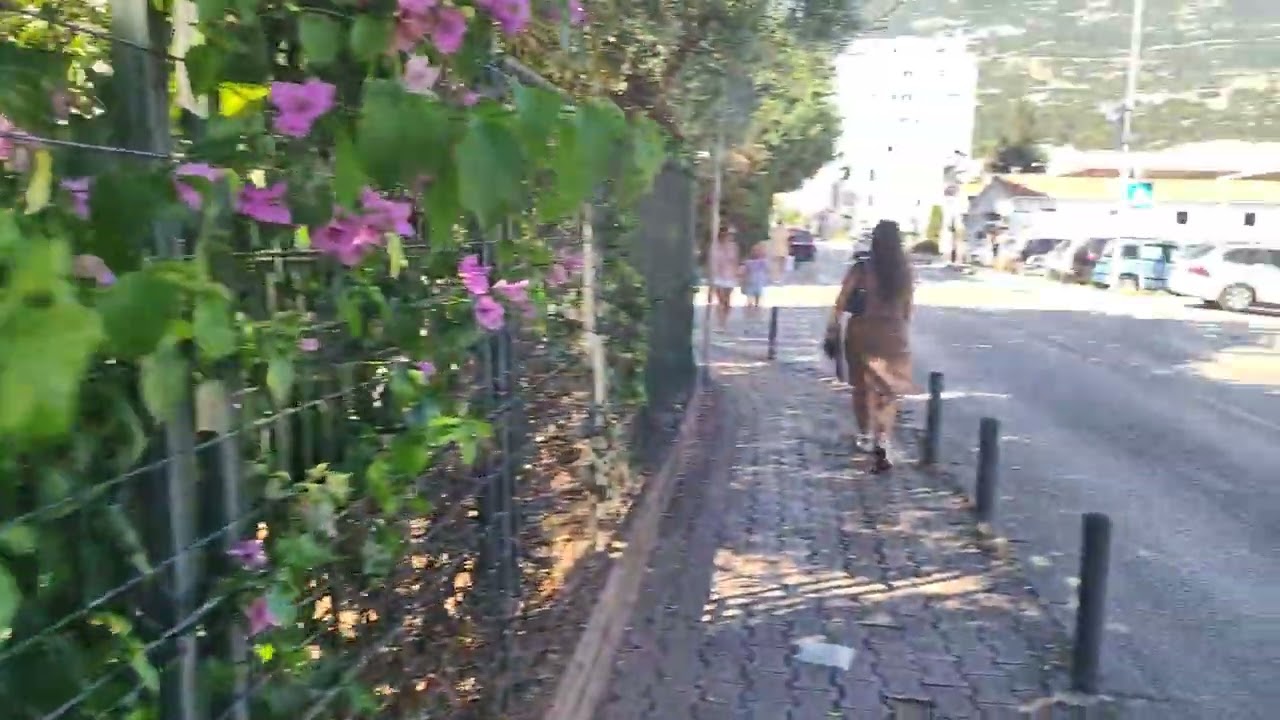 Mini zoo en la terminal de autobuses de Budva, Montenegro