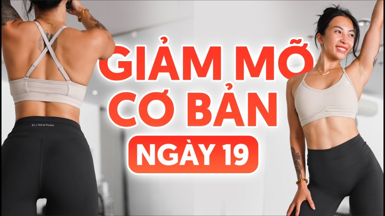Bài tập tay, vai, lưng, ngực (không dụng cụ) - Giảm mỡ cơ bản Ngày 19