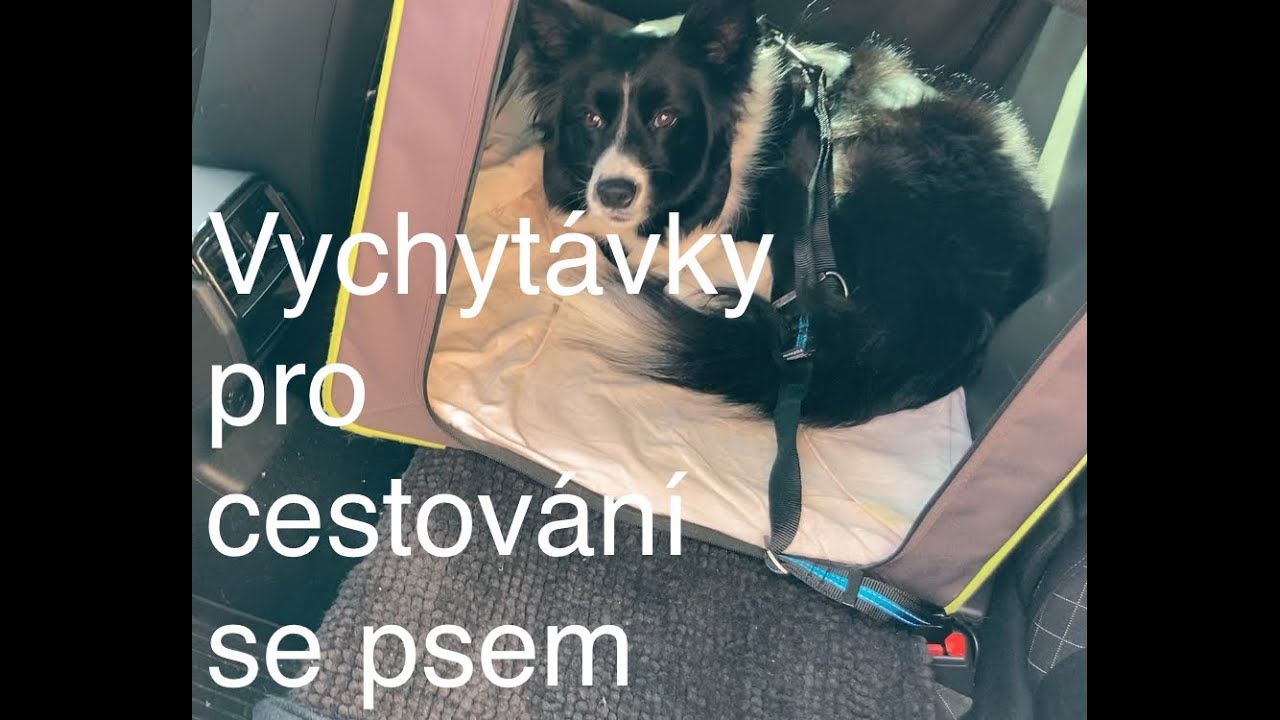 Vychytávky pro cestování se psem - Dog Lover's Life Hacks vol.2