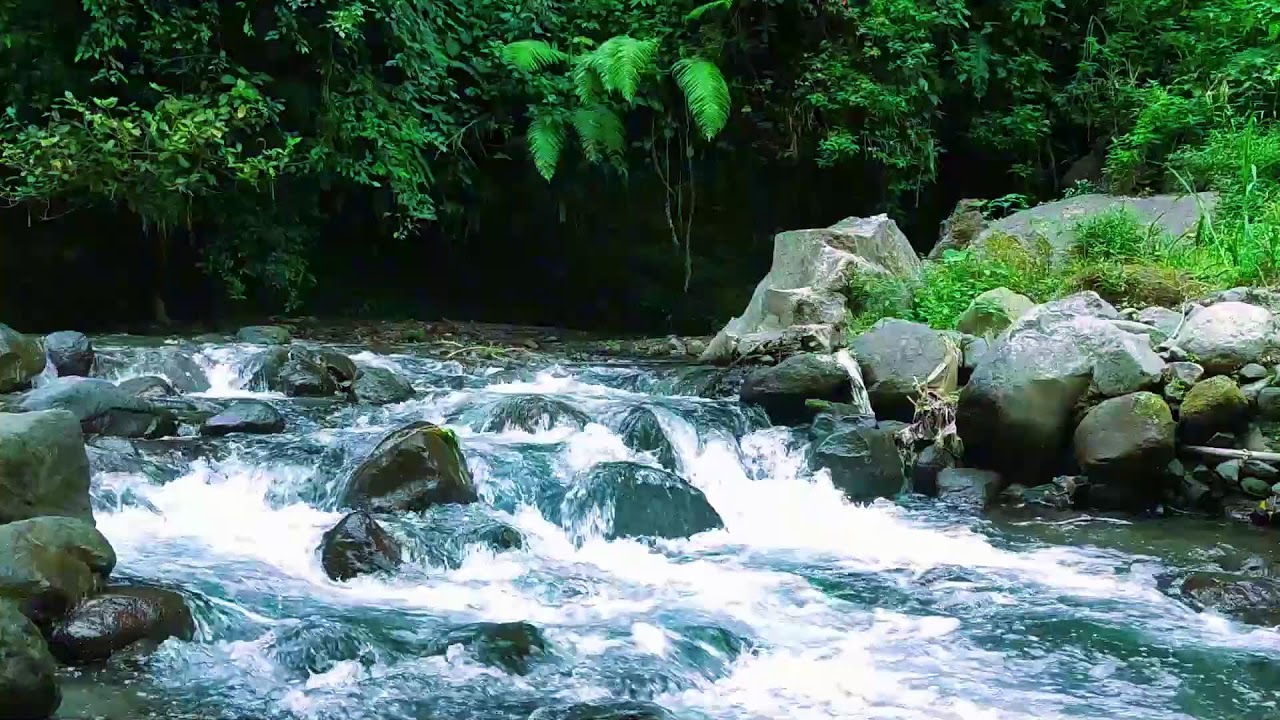 Peaceful River Sounds for Sleeping  Natural White Noise for Anxiety  Relaxation