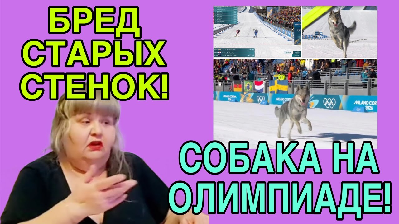 БРЕД СТАРЫХ СТЕНОК. И СОБАКА НА ОЛИМПИАДЕ.  ЮЛЯ СТАР. ОБЗОР. 