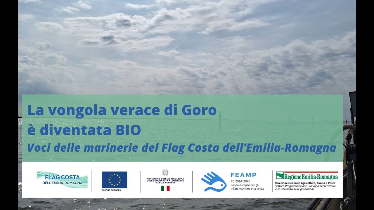 La vongola verace di Goro è diventata bio | Rassegna videointerviste Voci delle marinerie FLAG CER