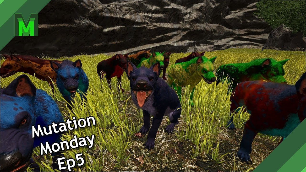 Fully mutated Hyaenodon!  Mutation Monday Ep 5