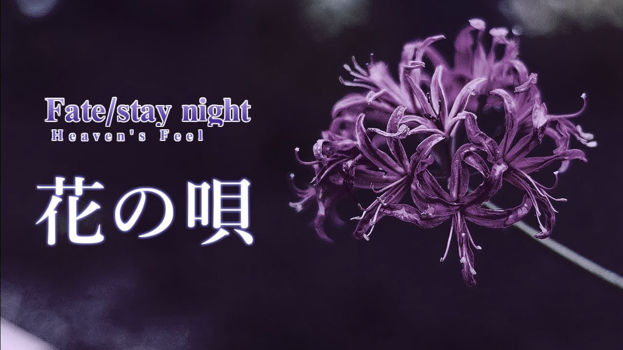 [Acoustic Cover] Fate/stay night: Heaven's Feel - 花の唄 