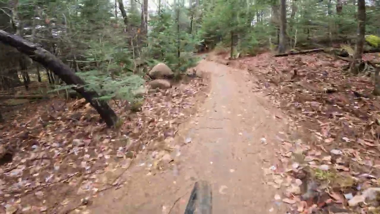 Совершенно новые маршруты &mdash; Flying Monkeys (Easy Line) &mdash; Kingdom Trails (2025)