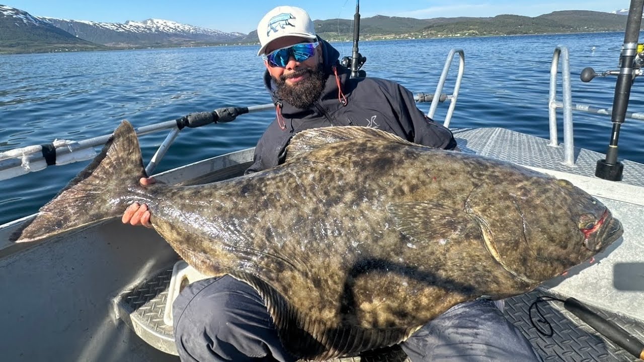 Angeln in Norwegen🇳🇴: Heilbutt und Seewolf satt. Die Straumen vor Vikran von ihrer schönsten Seite!