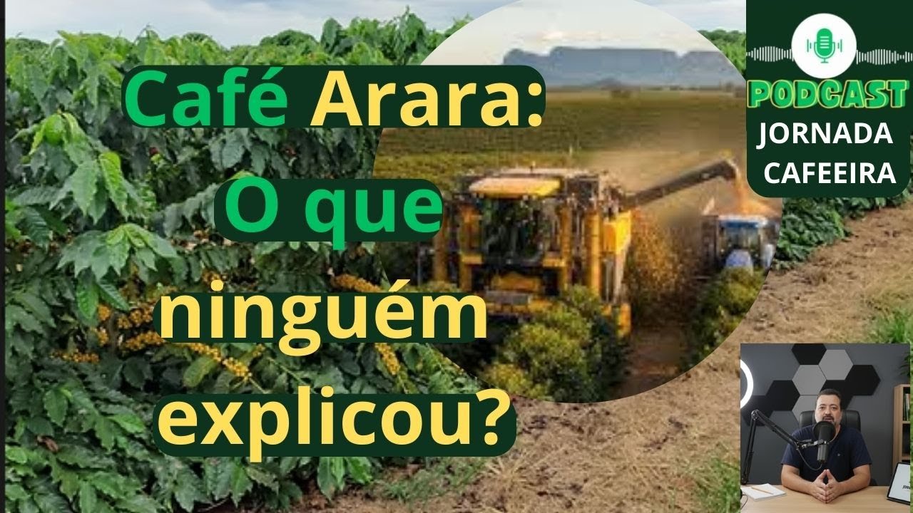 E-book sobre o café Arara: Por que ele desapareceu e onde encontrar informações?