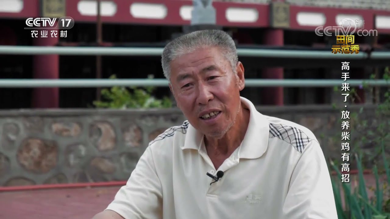 《田间示范秀》 20201002 高手来了·放养柴鸡有高招|CCTV农业