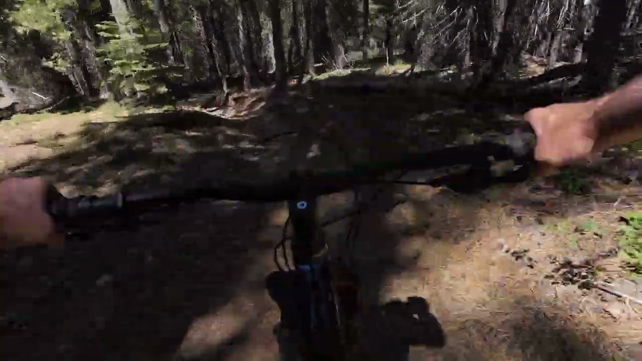 Gateway Trails Mount Shasta--4th of July Bear Springs- Shasta Gravity Adventures