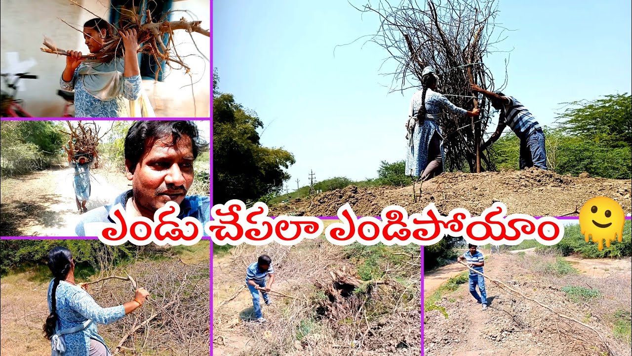 ఈరోజు ఎండలో ఎండి చాపలా ఎండిపోయినట్టు ఎండిపోయాము🫠 #niharikavillagehomeentertainments#happyfamilyvlogs
