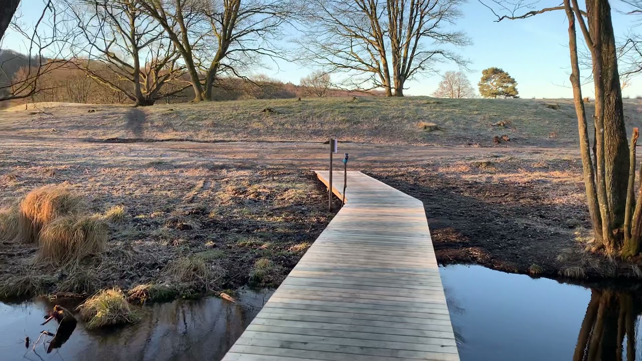 De fem Halder - boardwalk 04.2021