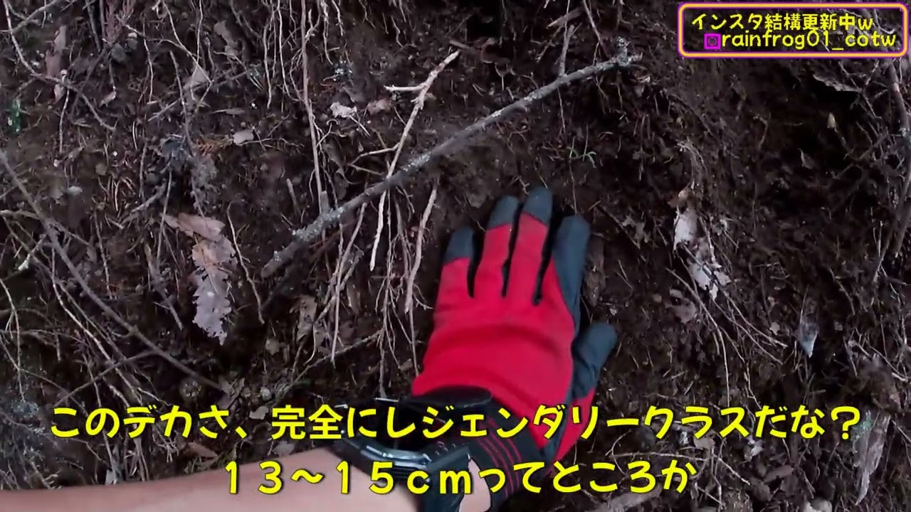 (再来したレジェンダリー）変態忍者の、有害鳥獣駆除従事活動記・その３４６