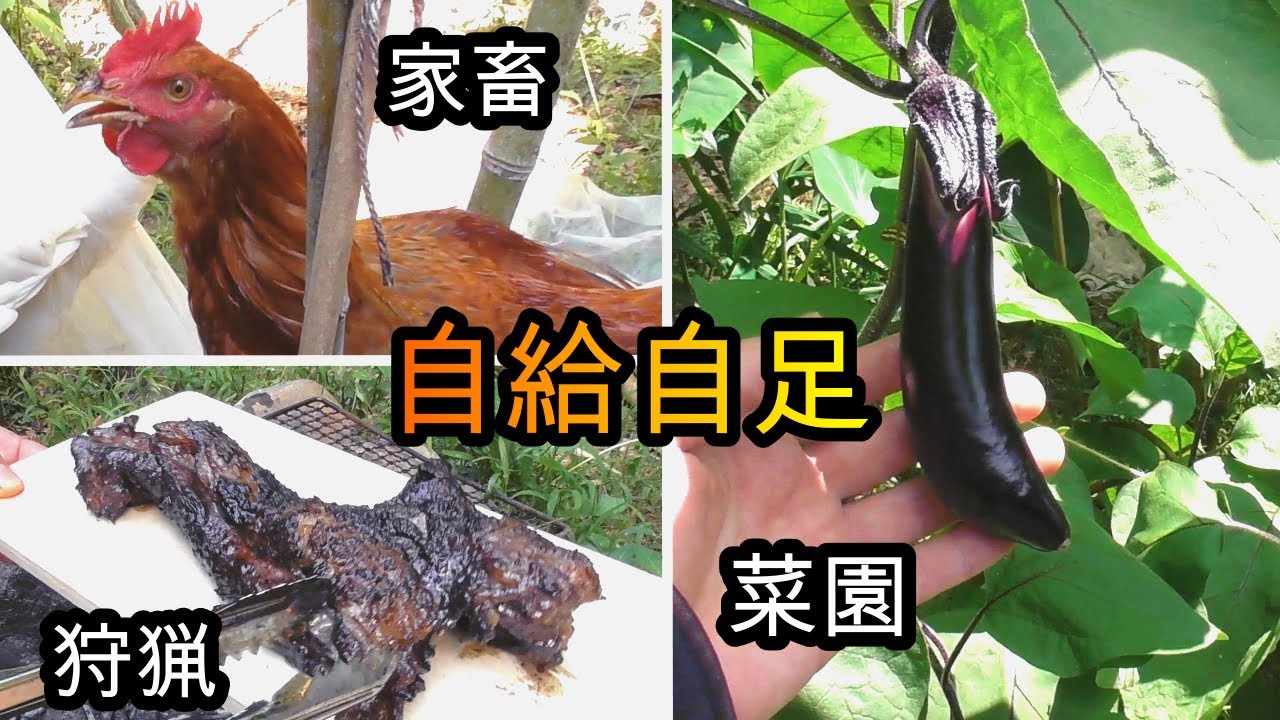自給自足生活の現状とコメントへの主の気持と返信