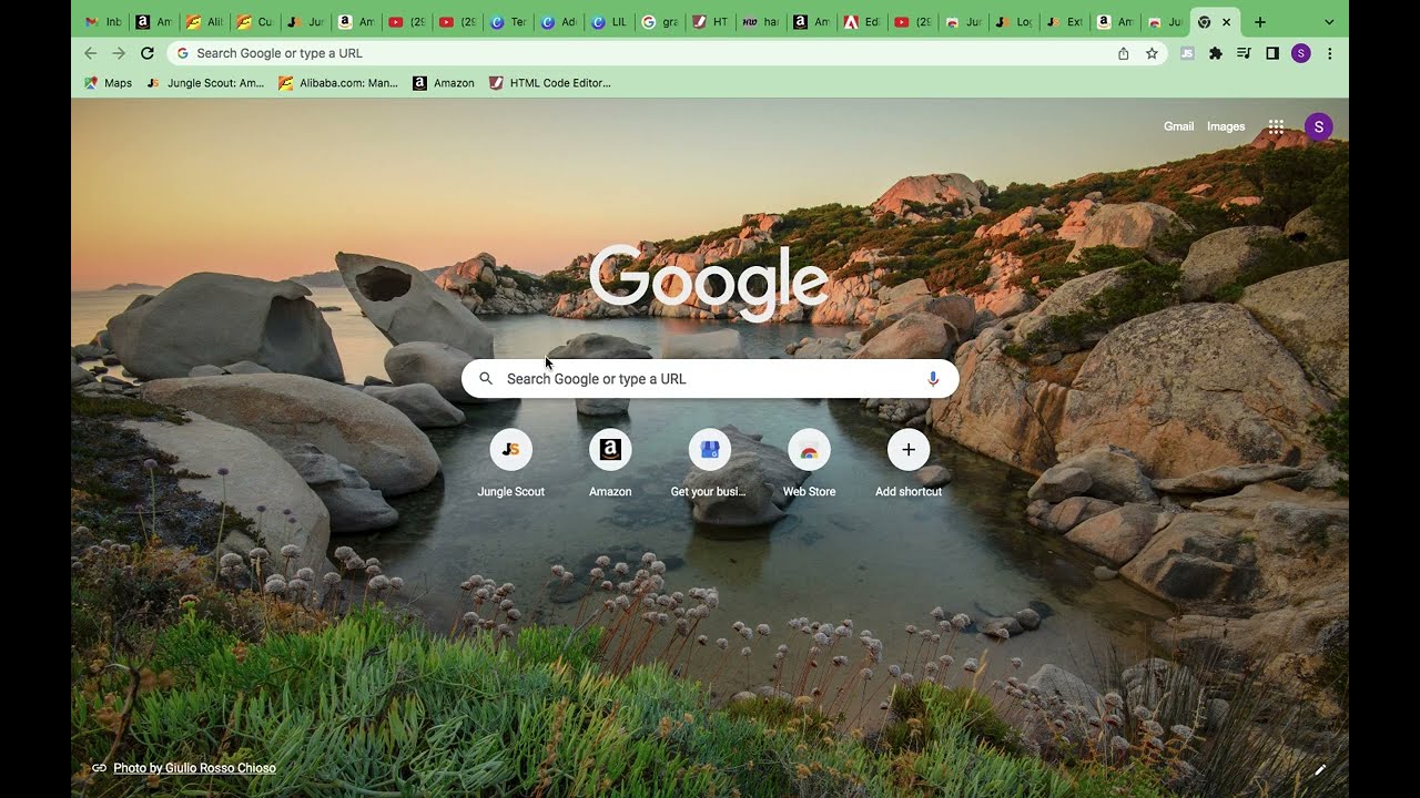 How to add Chrome Extensions and Install Jungle Scout Chrome Extension