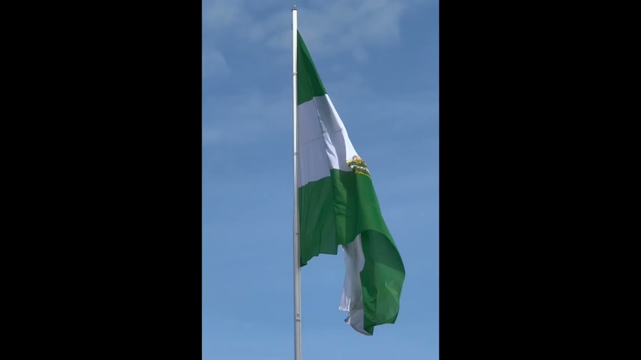 LA BANDERA BLANCA Y VERDE