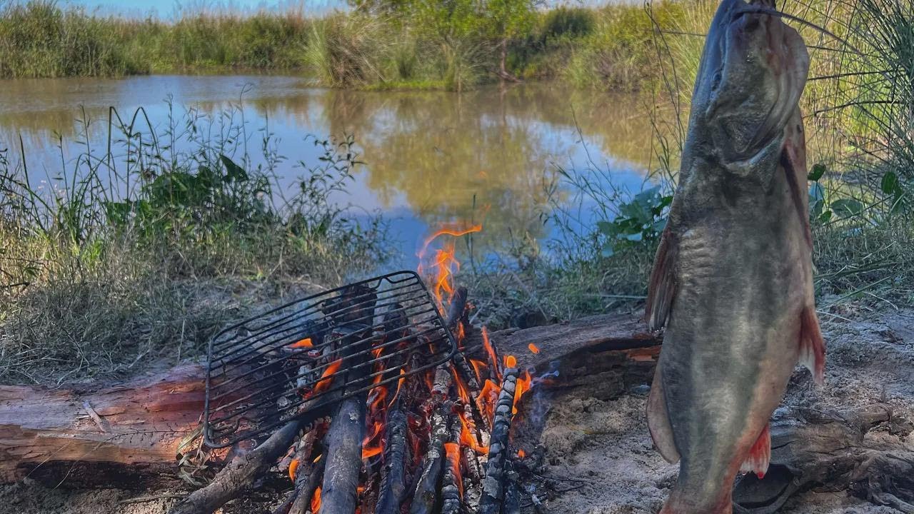 Giant Catfish Adventure: Exploring Nature & Grilled Fish Delight