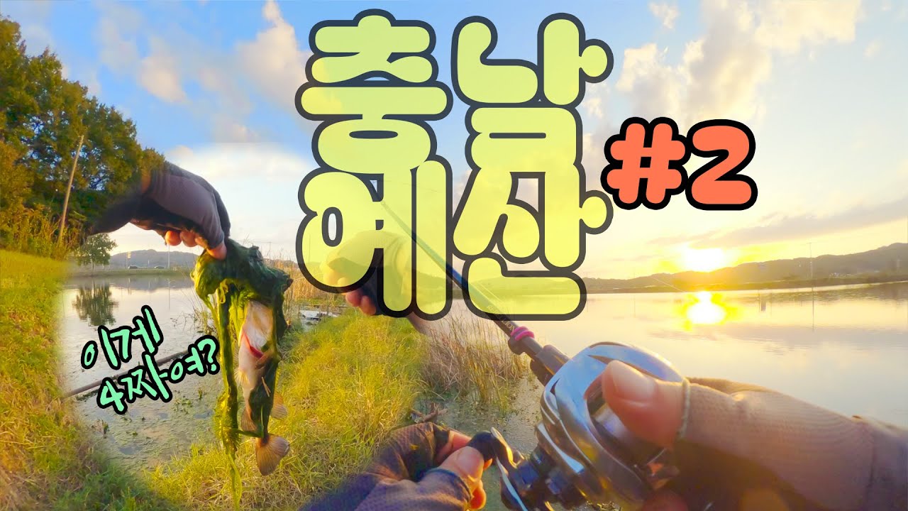 충남 예산 배스낚시 여행 2부  #배스낚시 #fishing #저수지낚시