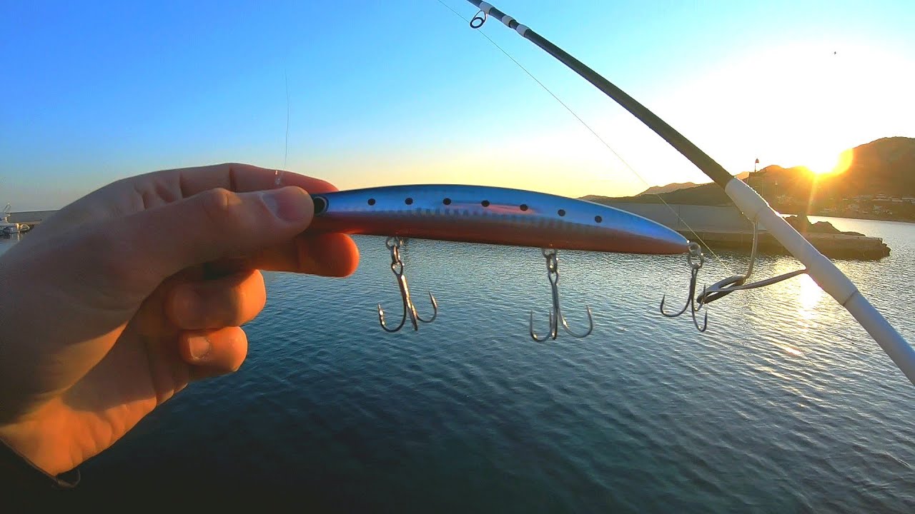 Barracuda Fishing Corsica // Pêche du Bord en Corse