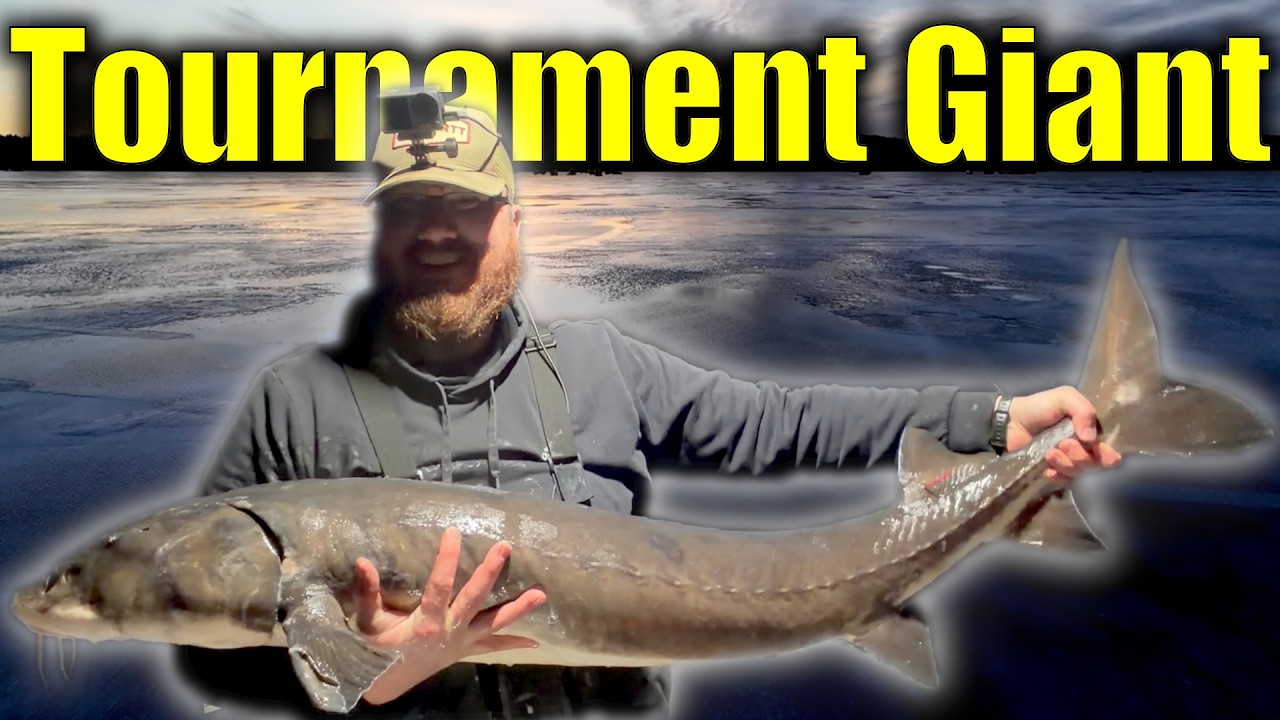 На турнире по подледной рыбалке мне попался на крючок ОГРОМНЫЙ осетр!