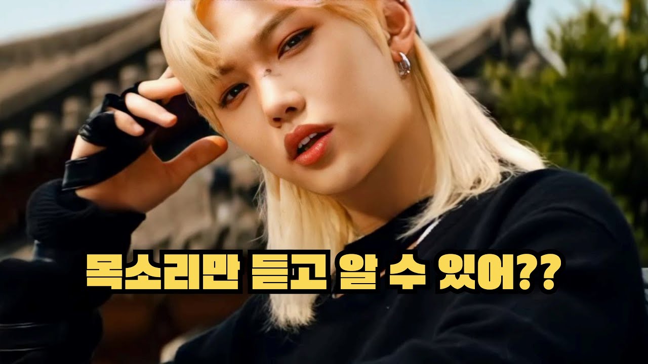 Stray Kids 목소리만 듣고 맞히기! Guessing only by listening to the voice!