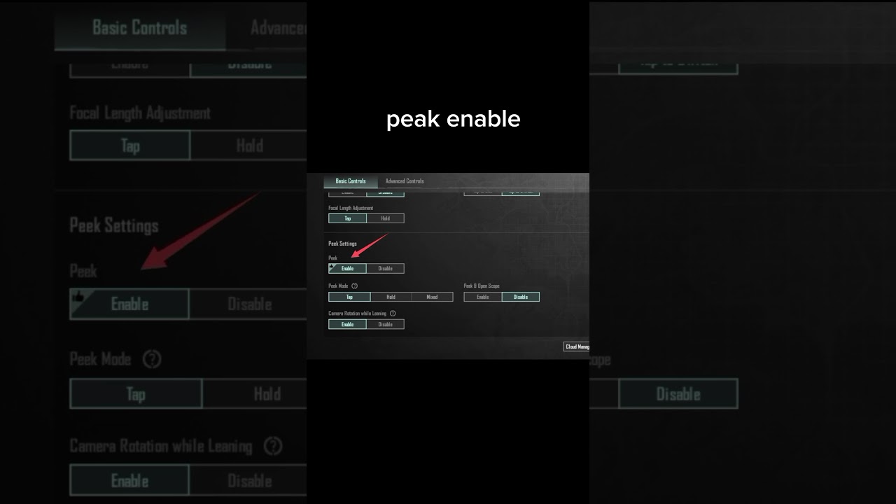 the side scope camera enable setting 