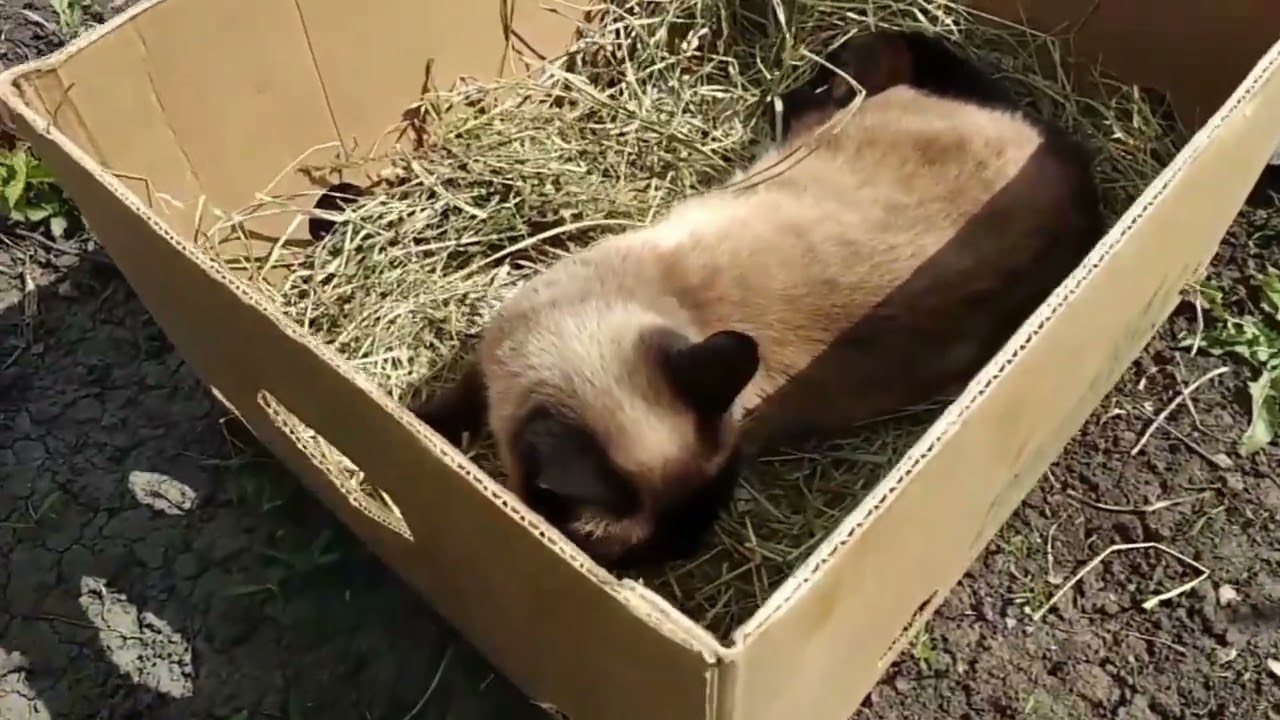 15 февраля 2026 г.