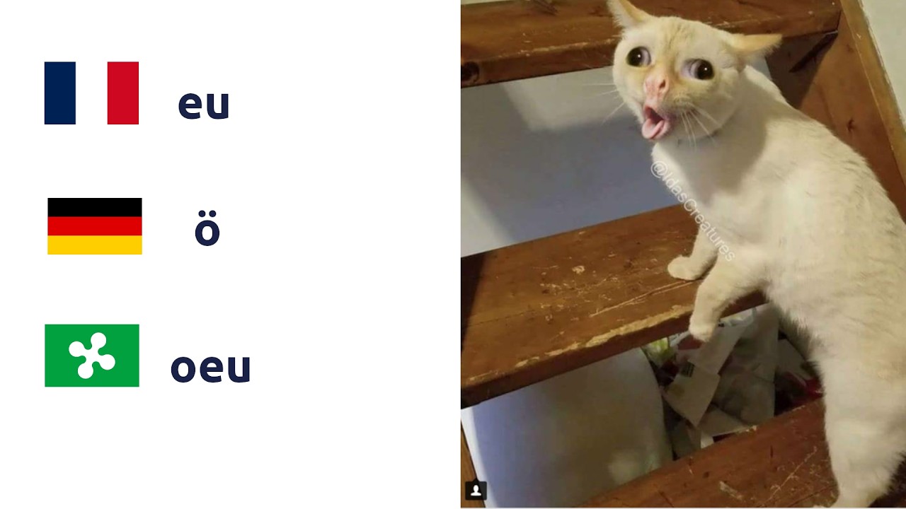 PERCH&Eacute; AL NORD CI SONO LE VOCALI TURBATE (C'ENTRANO I FRANCESI?)