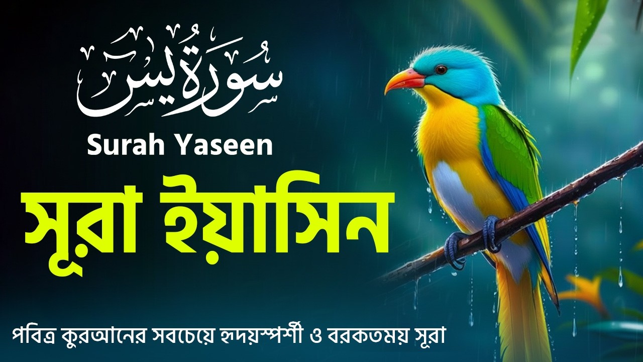 প্রতিদিন সকালে শুনুন মন শান্ত করা সূরা ইয়াসিন | Surah Yaseen Full | Heart Touching Quran Tilawat