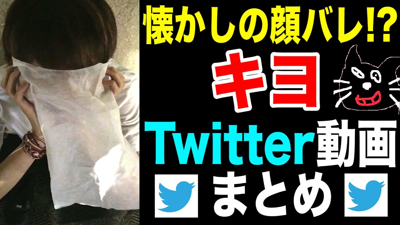 くだらなすぎるTwitter動画集【キヨ】
