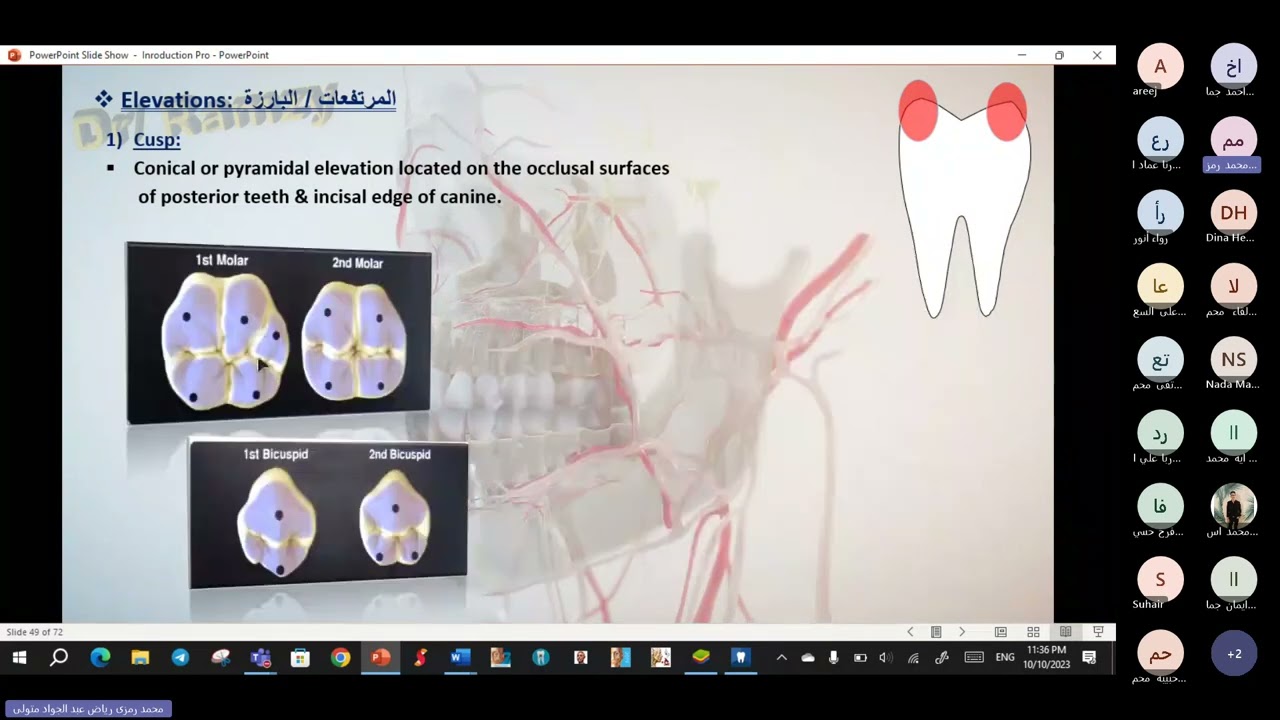 شرح Teeth Landmarks للدكتور رمزي بطريقة ممتازة هتحفظها وانت ف الفيديو وطريقة حل اسئلتها في الامتحان