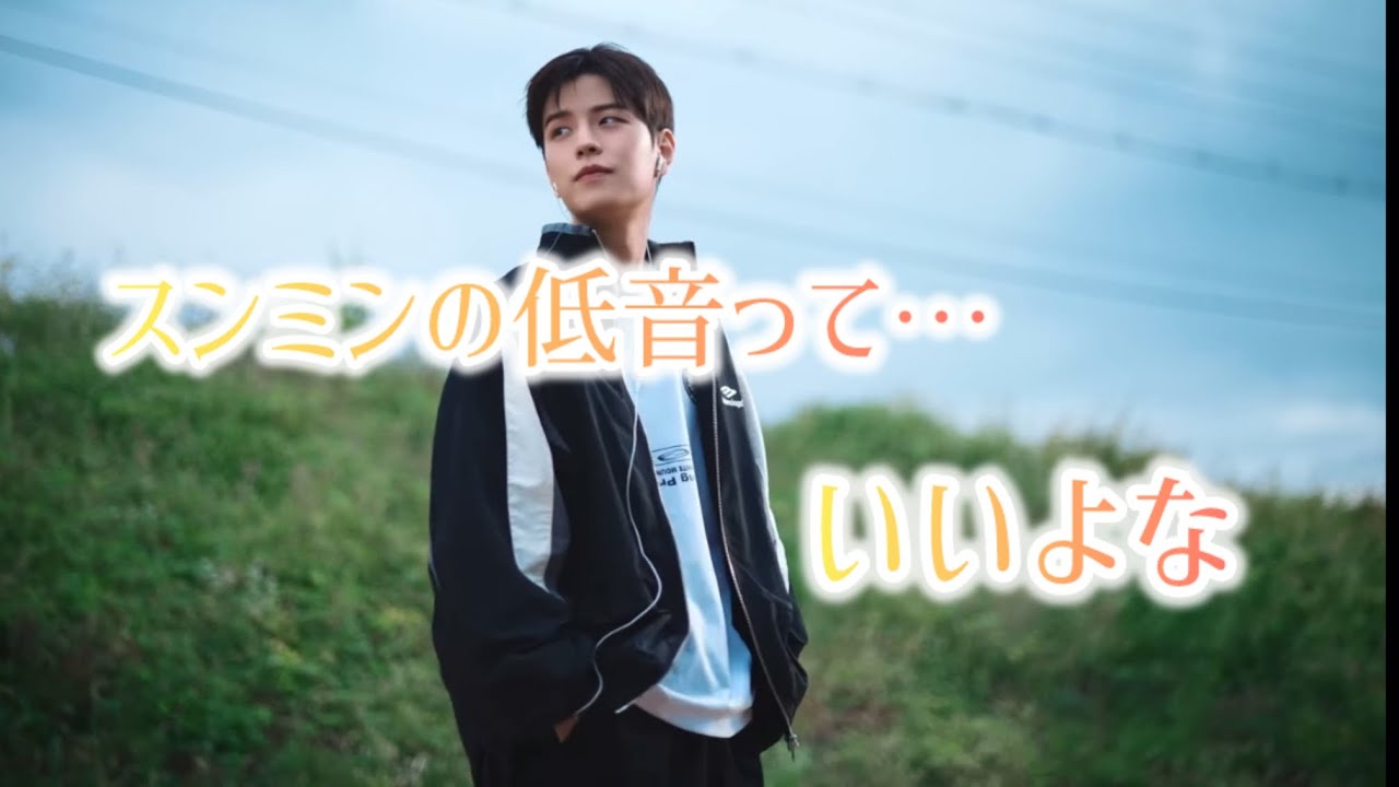 【stray kids】スンミンの低音集めました