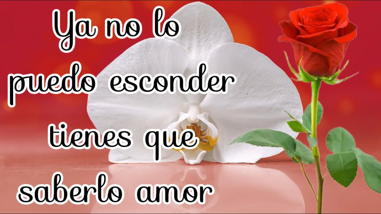 Ya no quiero ocultarte eso amor