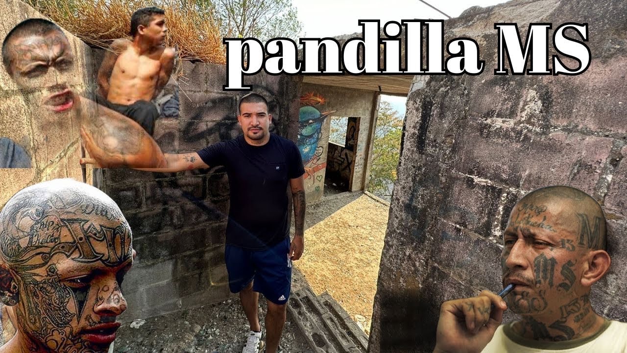 ASÍ ERA LA CASA DESTROYER DE LA MARA SALVATRUCHA 🥷🏻