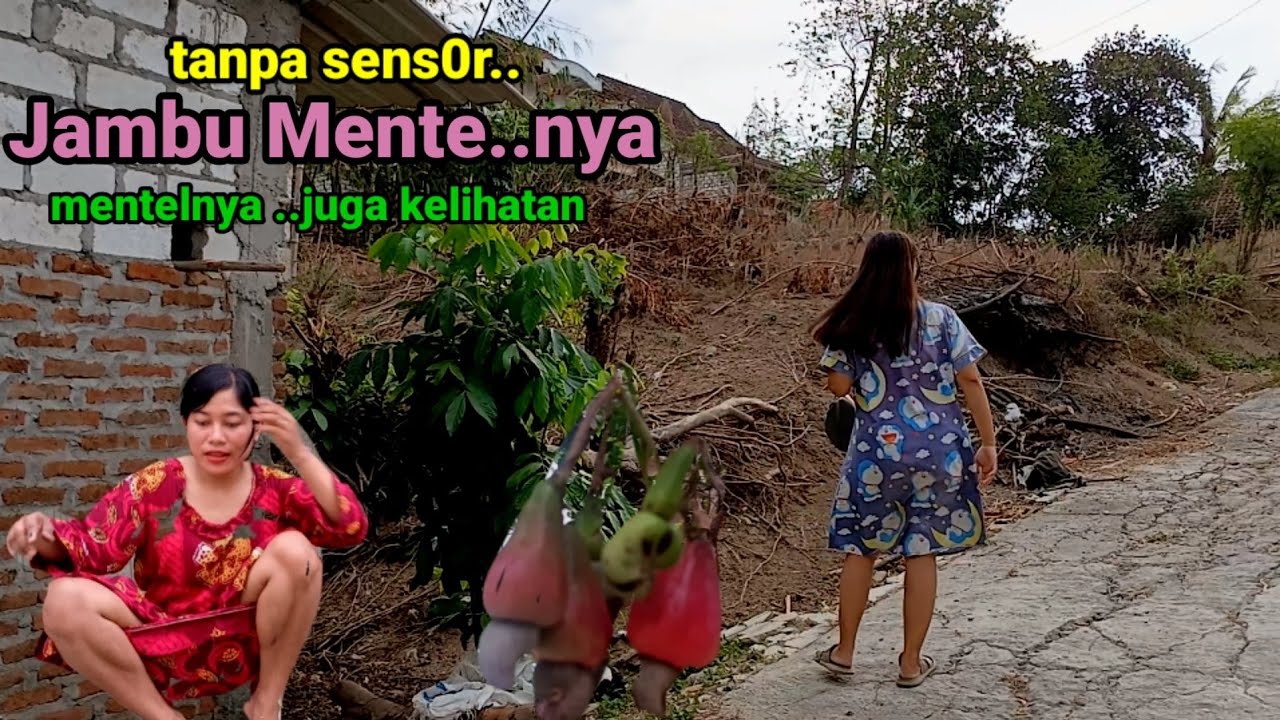 Jambu Mente Kampung Gunung Pengantin Tikar pandan & tradisi Dandan necis di Sawah hutan para Wanita.